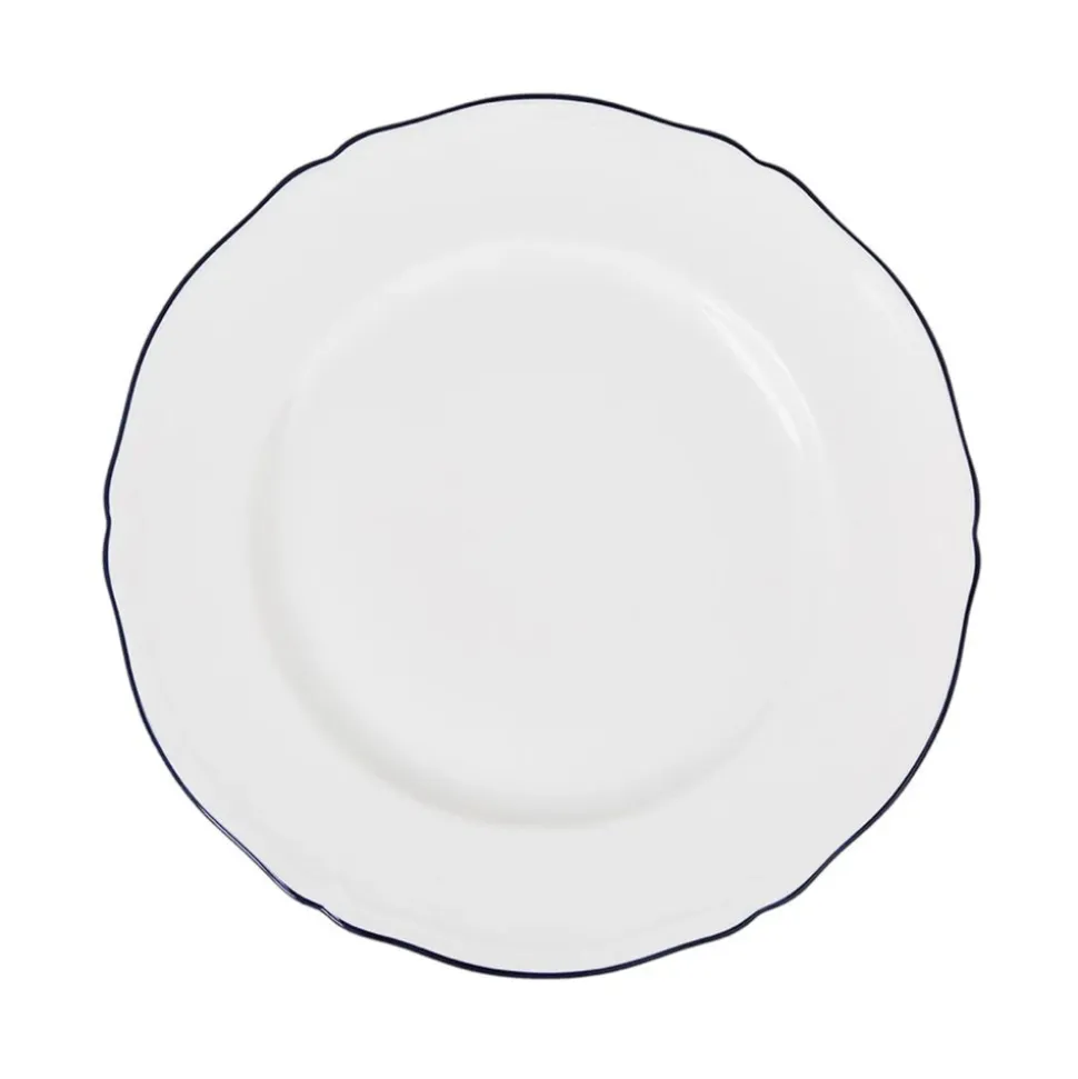 Corona Charger Plate