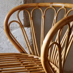 Coste Rattan Lounge Chair