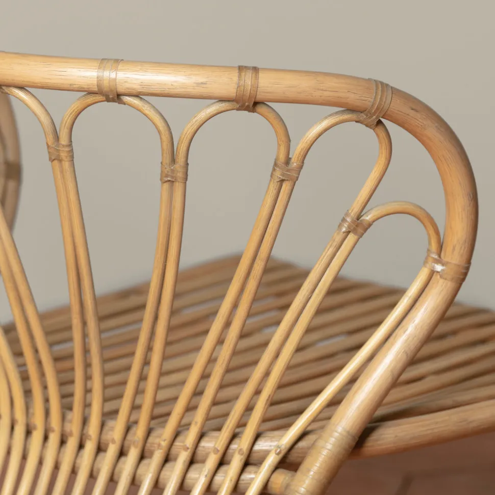 Coste Rattan Lounge Chair