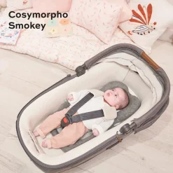 Cosymorpho Universal Infant Insert Cushion