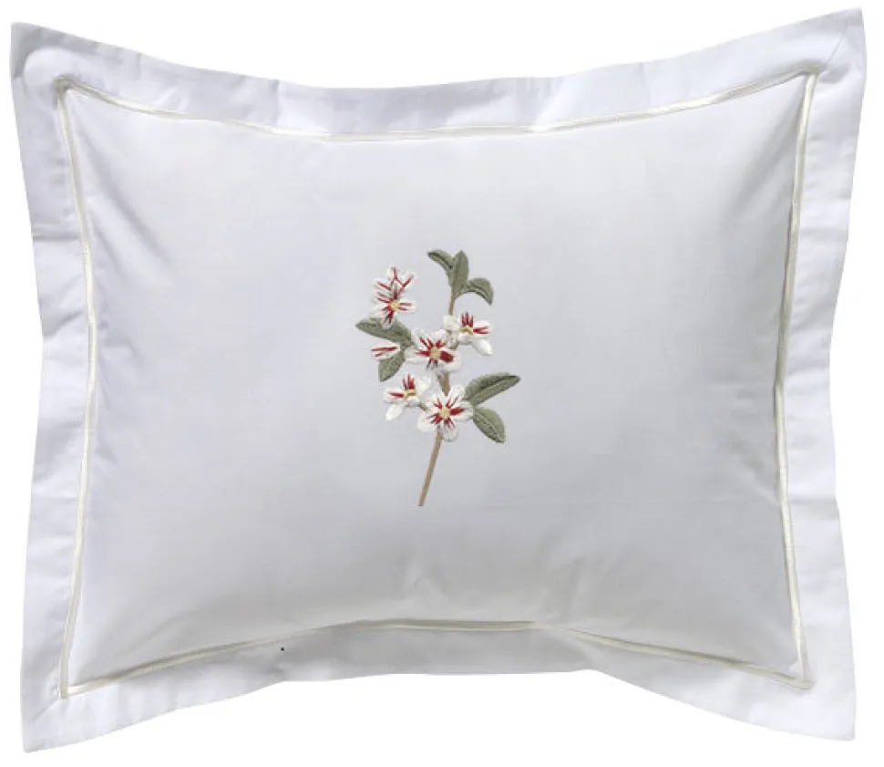 Cotton Percale Boudoir Pillow Cover