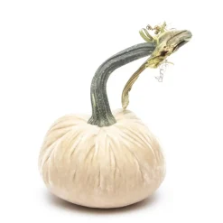 Cream Silk Velvet Pumpkin