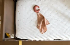 Crib Sheet