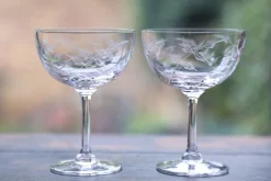 Crystal Champagne Saucers with Fern Design