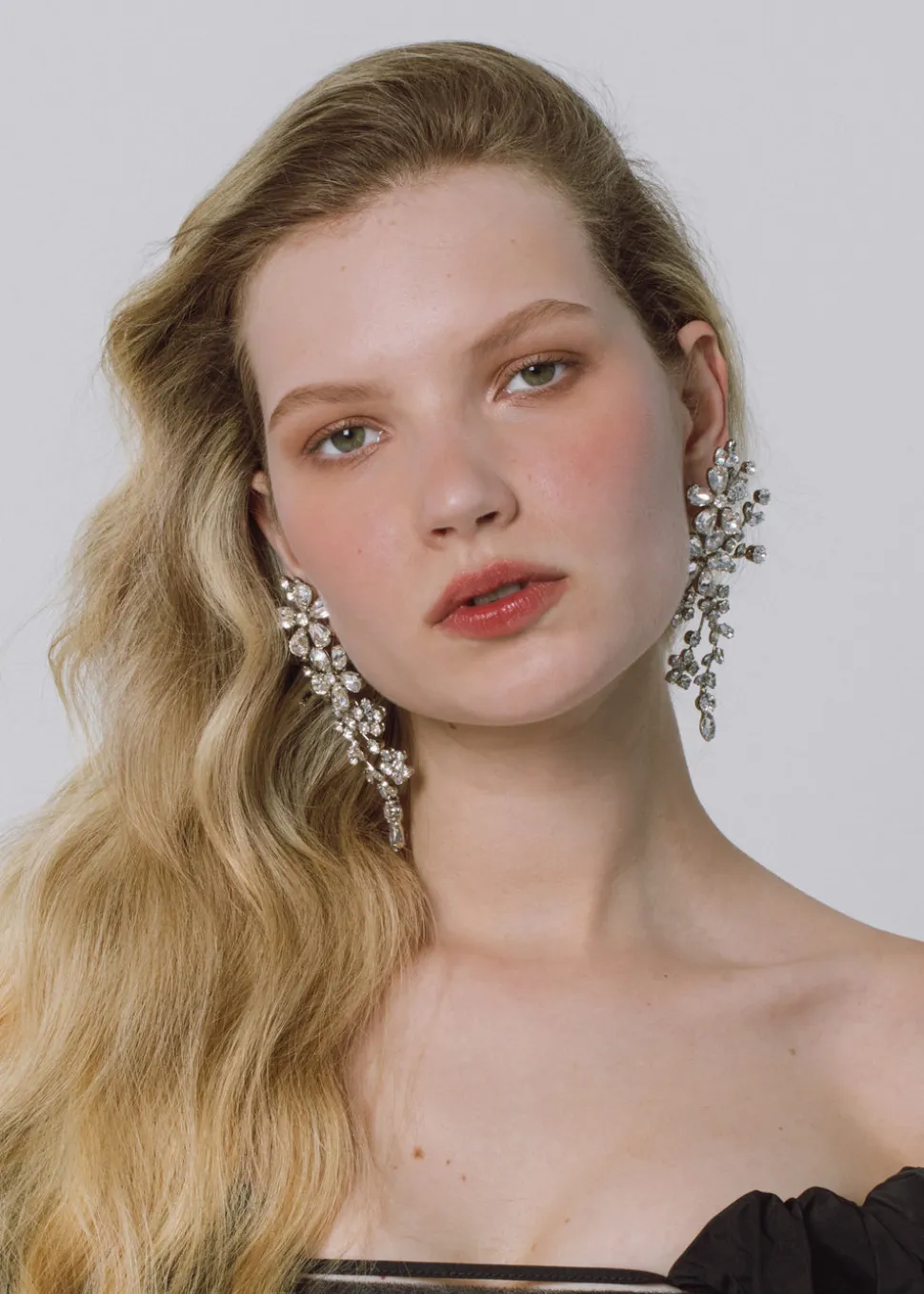 Darianna Earrings in Crystal