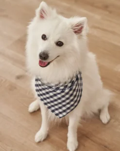 Dog Bandana
