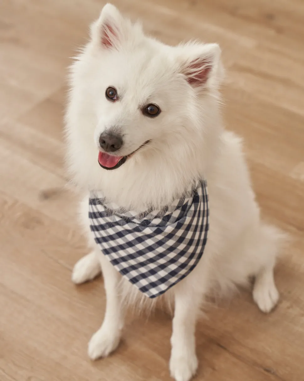 Dog Bandana