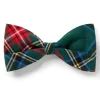 Dog Twill Bow Tie in Kensington Tartan