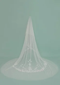 Donata Veil