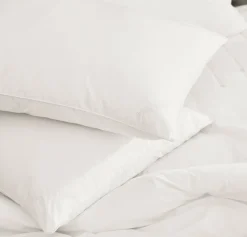 Down Chamber Pillow Insert