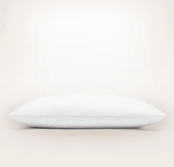 Down Chamber Pillow Insert