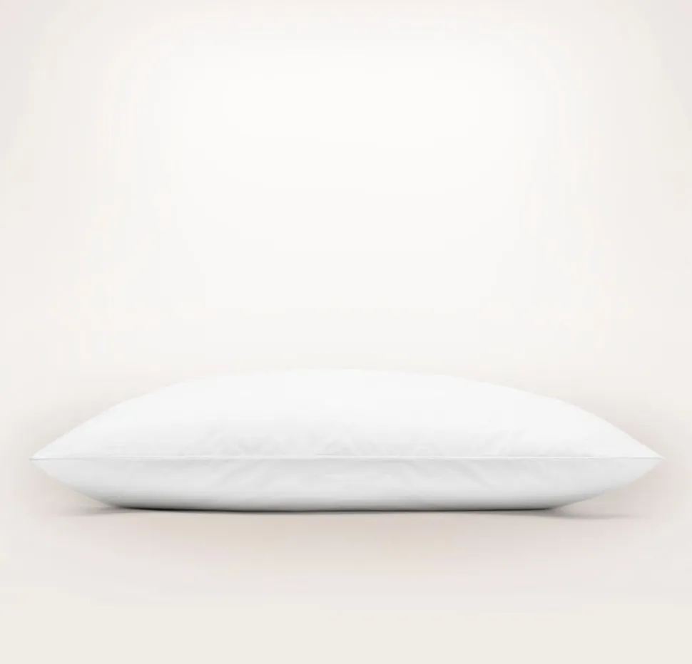 Down Chamber Pillow Insert