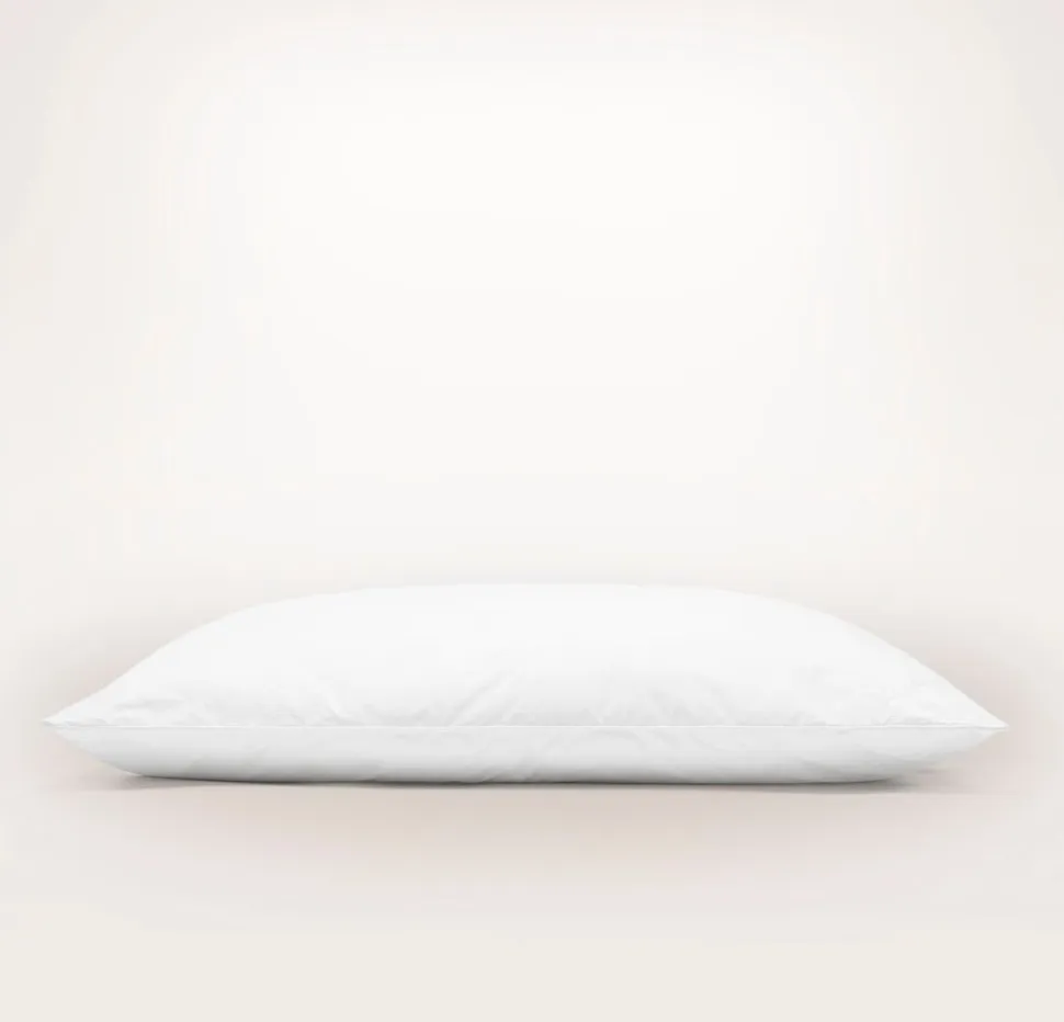 Down Chamber Pillow Insert