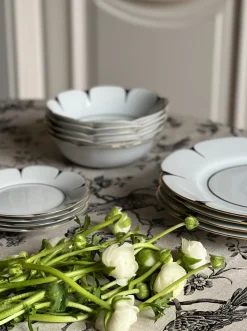 Drops Soup & Pasta Plate