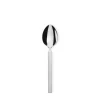 Dry Serving Spoon
