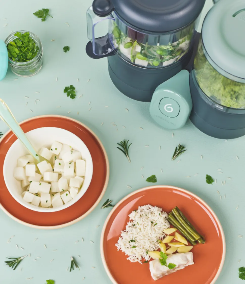 Duo Meal Lite - Infant & Toddler Food Processor