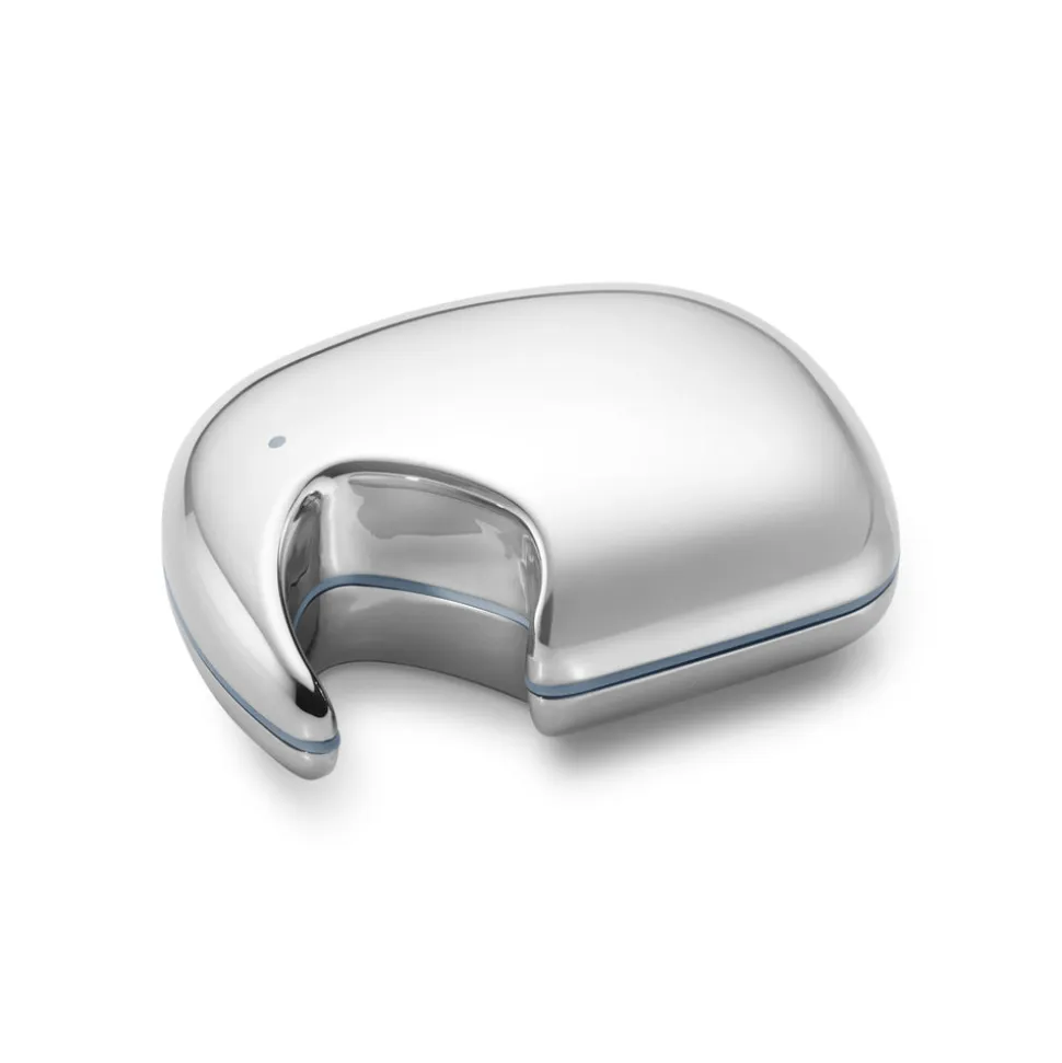 Elephant Keepsake Box Stainless Steel & Silicone