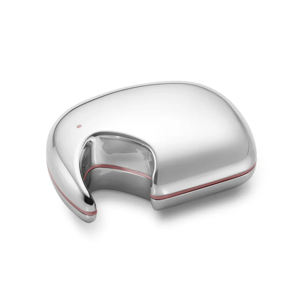 Elephant Keepsake Box Stainless Steel & Silicone