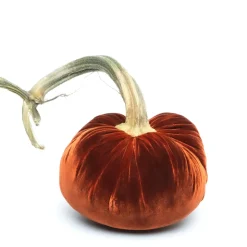 Fire Silk Velvet Pumpkin