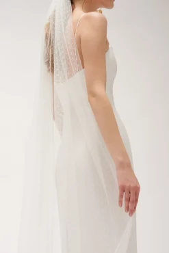 Félix Veil