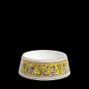 Florentine Citron Pet Bowl