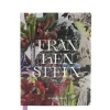 Frankenstein Art Novel
