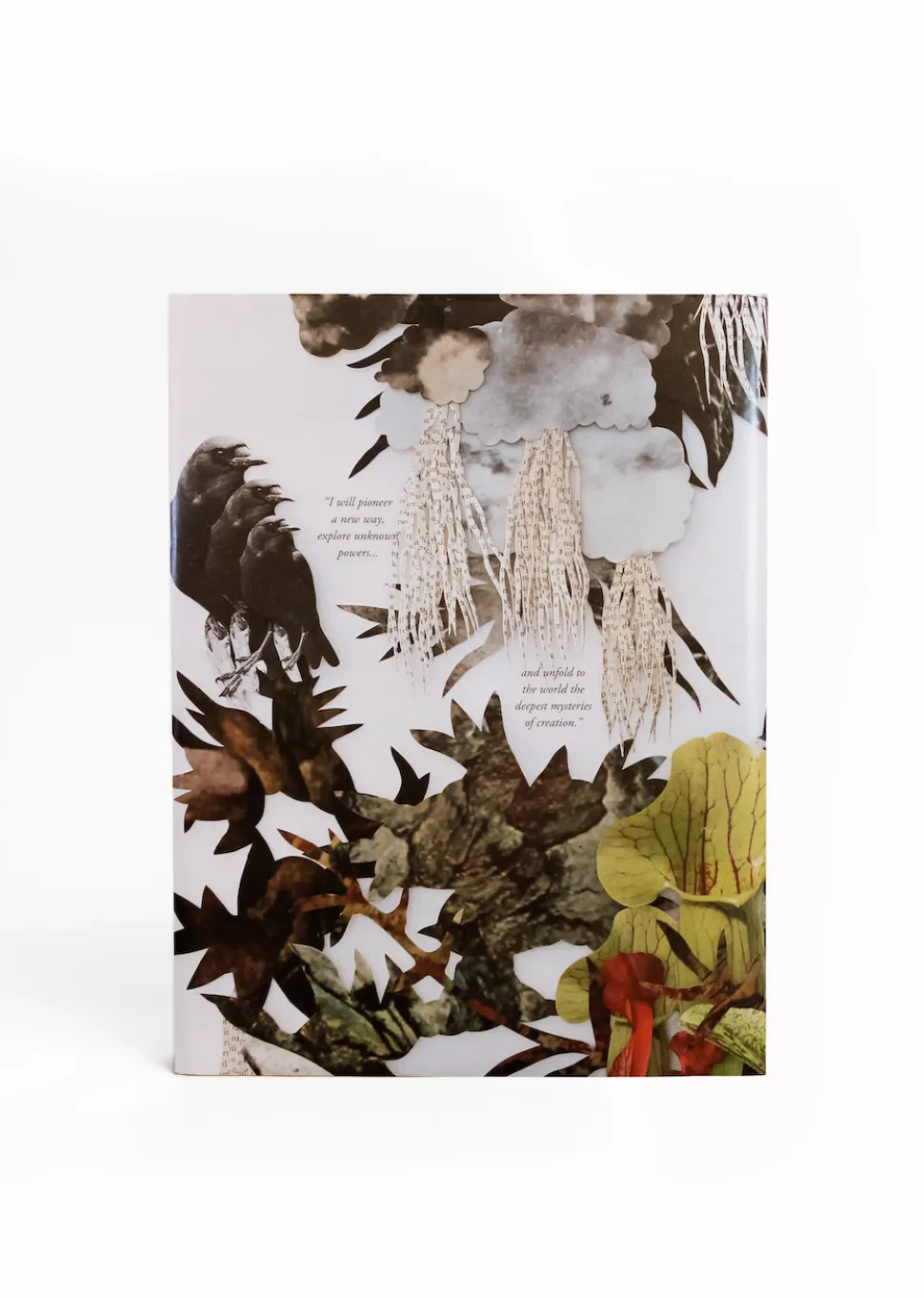 Frankenstein Art Novel