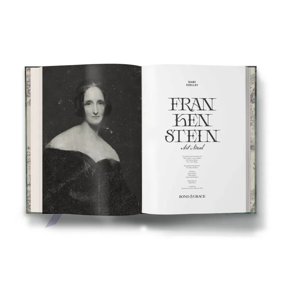 Frankenstein Art Novel