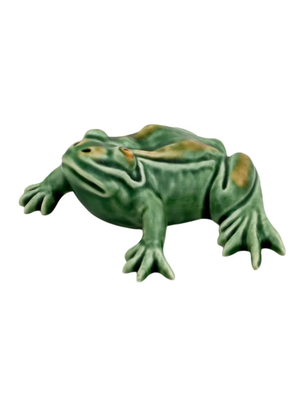 Frogs Small Frog