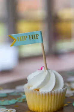 Fun Fair Cupcake Kit