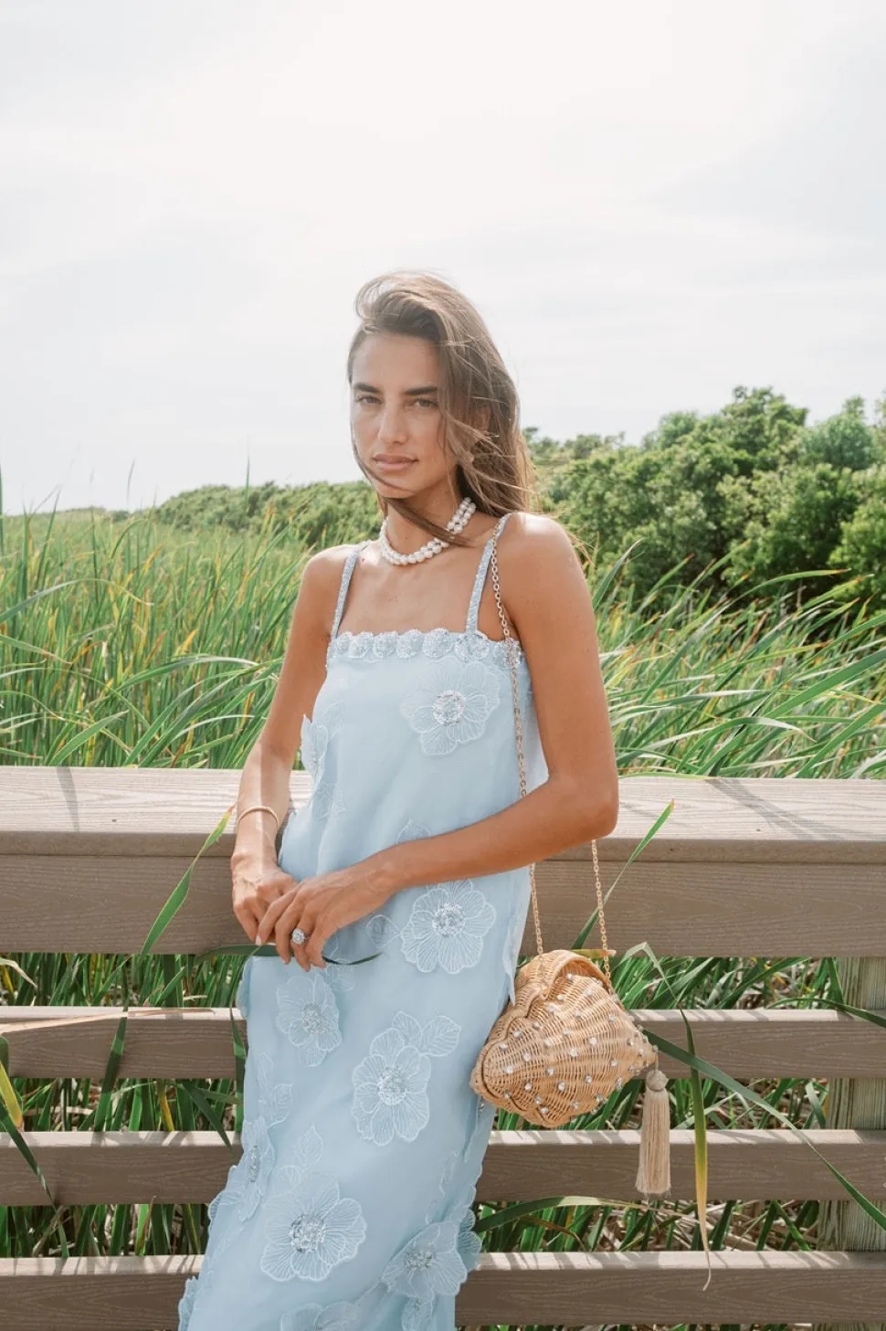 Gardenia Dress in Blue
