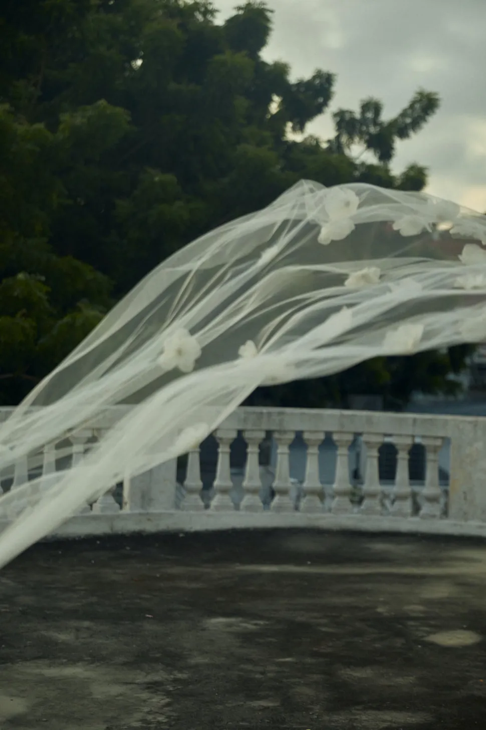 Gardenia Veil