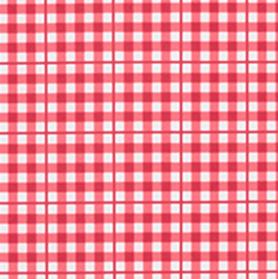 Girl’s Poppy Gingham Rashguard One Piece
