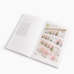 Glimpse Guide Book Paris