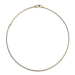 Golden Collar Necklace