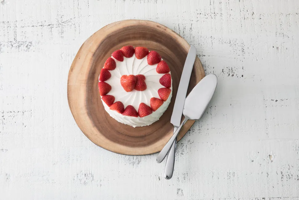 Grand City Serrated Cake Server/Knife Boxed Set