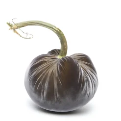 Graphite Silk Velvet Pumpkin