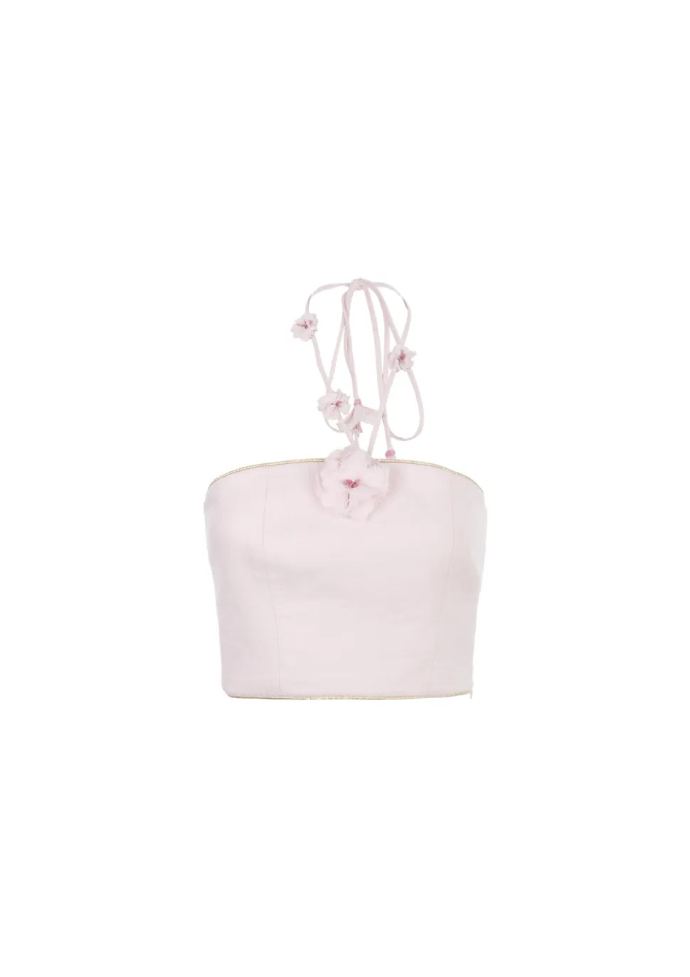 Hava Bustier in Pink
