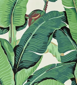 Hinson Palm in Wide Width Wallpaper