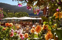 Hotel Jerome and Madeline Hotel Colorado, Luxury 6-Night Stay