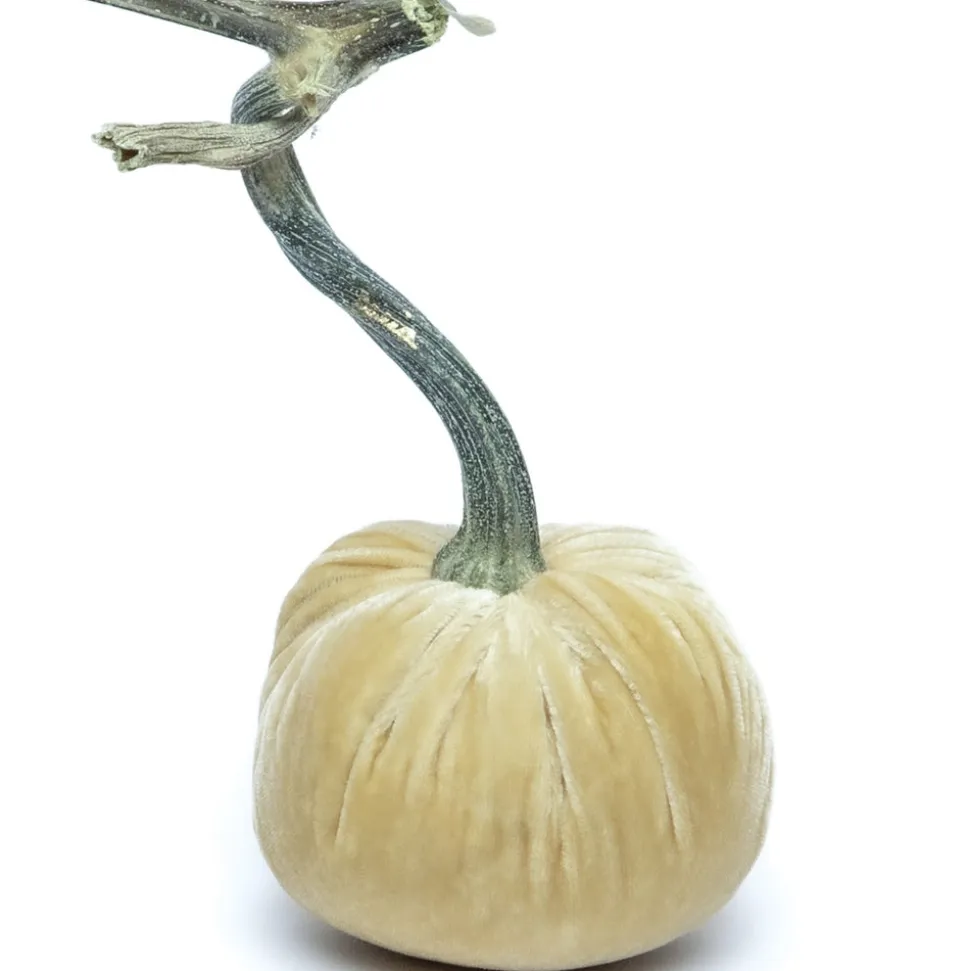 Husk Silk Velvet Pumpkin