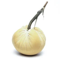 Husk Silk Velvet Pumpkin
