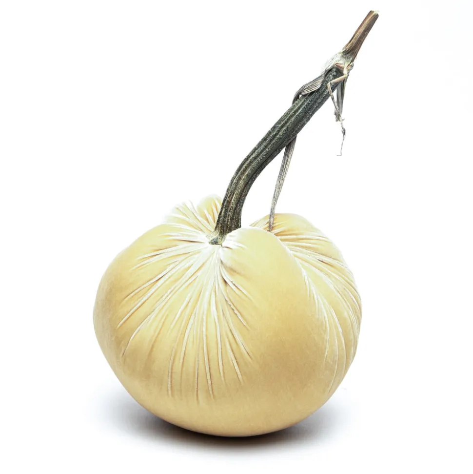 Husk Silk Velvet Pumpkin