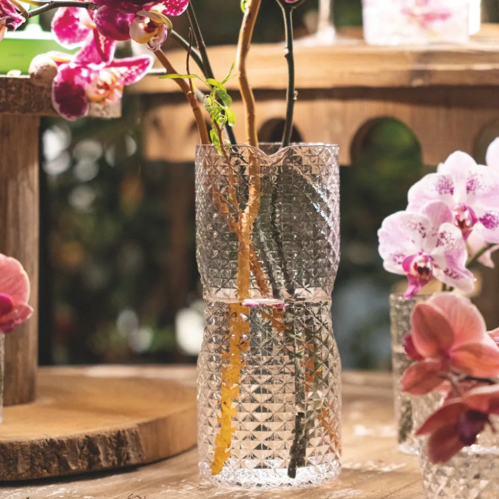Isolano Carafe