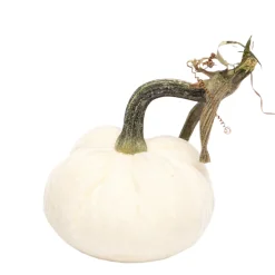 Ivory Silk Velvet Pumpkin