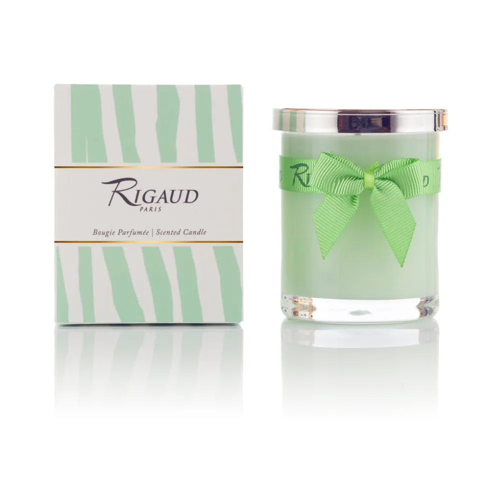 Jasmin De Printemps
