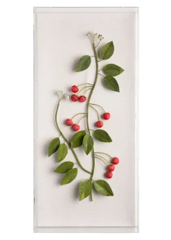 Large Fruit Study Cherries On Snow Linen