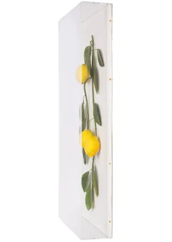 Large Fruit Study Lemons On Snow Linen