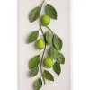 Large Fruit Study Limes On Snow Linen