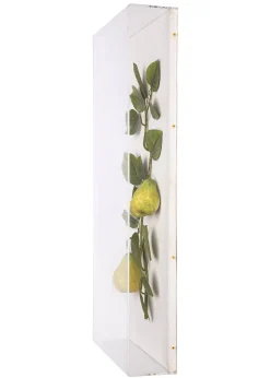 Large Fruit Study Pears On Snow Linen
